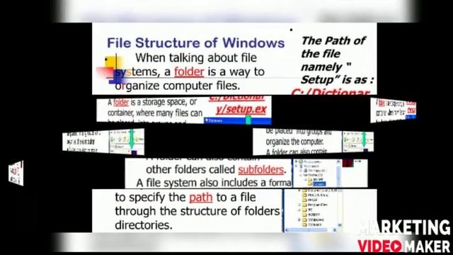 File structure of windows and path| 11th |12th| English| Urdu| Hindi| CS/IP| смотреть онлайн
