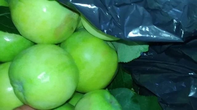 Don't Store Apples In A Plastic Bag смотреть онлайн