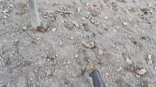 Yaprak Üfleme Makinası İşe Yarıyor mu? смотреть онлайн