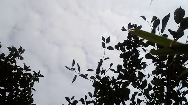 20241020_124033.mp4 смотреть онлайн