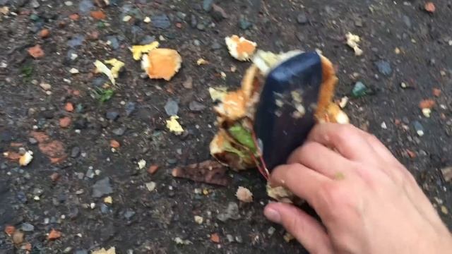 Nokia 3310 In a BigMac - Drop Test 100ft смотреть онлайн