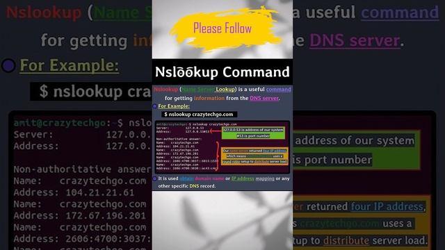 Nslookup Command 💻🧑🏿💻🧑🏿💻🧑🏿💻 #python #chatgpt4 #reels #viralvideo #trend смотреть онлайн