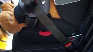 Правила перевозки детей в автомобиле