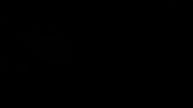 Does The Apple Vision Pro Work In The Dark? | Easy Fix If Your Eye Tracking Doesn’t Work! смотреть онлайн