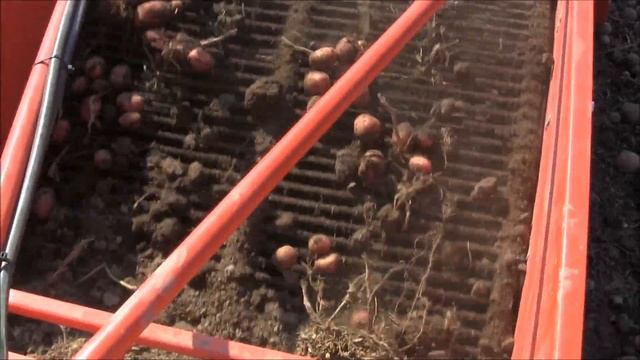 POTATO DIGGER 2 ROWS IMAC PD - SCAVAPATATE 2 FILE IMAC PD смотреть онлайн