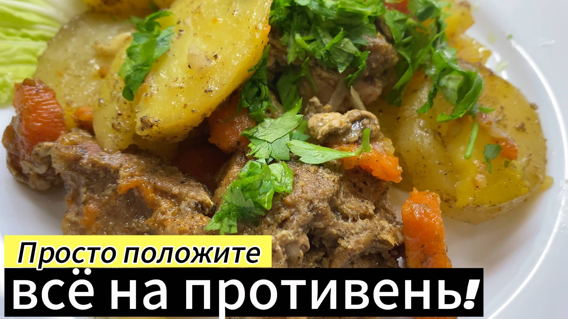 Стелла Шевченко