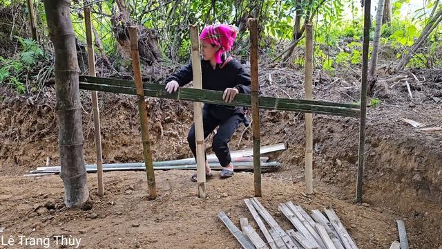 Single mom - Harvest gac with my son to sell - housework - cooking смотреть онлайн