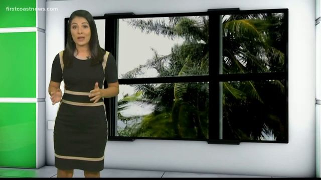 VERIFY: Do not open your windows to 'relieve pressure' during a hurricane смотреть онлайн