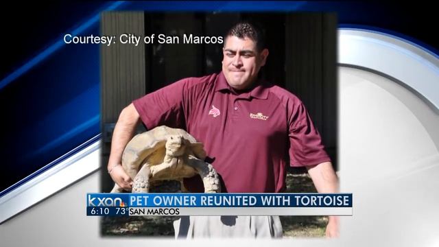 Shell shock: Lost turtle finds way home смотреть онлайн
