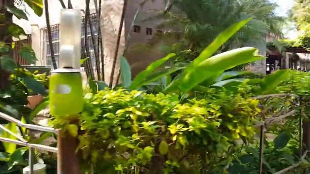 Hotel Boutique Rivera Del Rio Alejandro room, +7 min greatest walk to the beach ever! смотреть онлайн