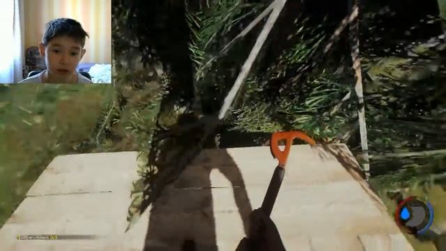 The Forest смотреть онлайн