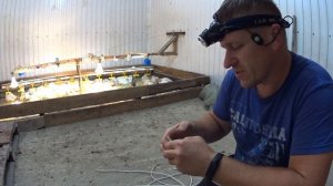 Деревенские будни