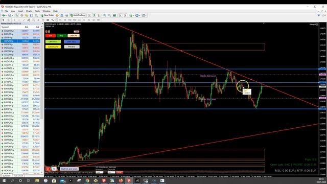 Forex trading: Setups for USDCAD and NZDCHF - May 4th смотреть онлайн