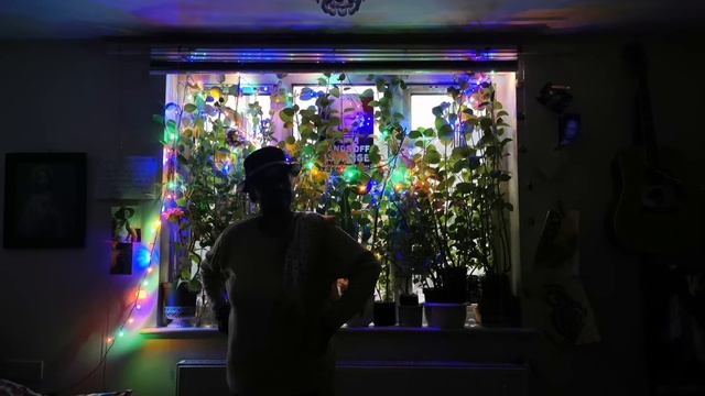 #queenglorianhswildman #JulianAssange in my #window peeping thru my #oregano #Kolja too смотреть онлайн