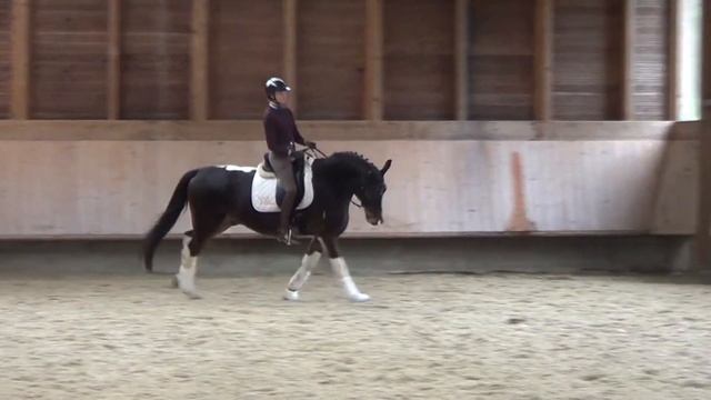 Maserati-P (Ron Willaim x Maślak vel Mass) 2012 смотреть онлайн