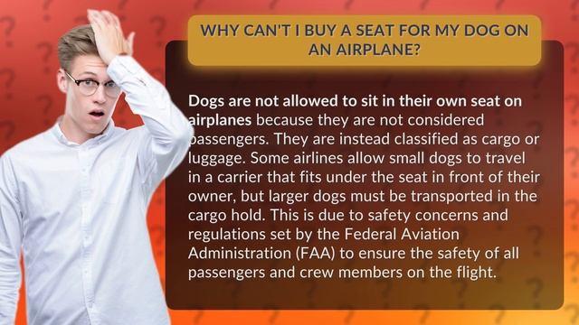 Why can't I buy a seat for my dog on an airplane? смотреть онлайн