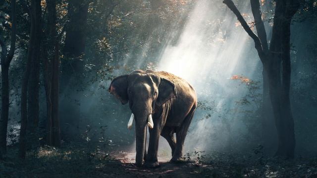 Amazing Beautiful Compilation of Pictures As Wallpaper or Screen Saver смотреть онлайн