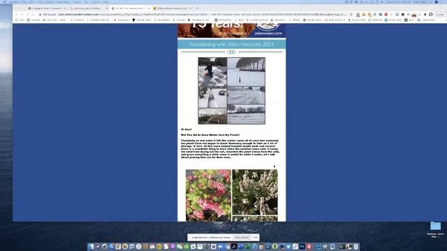 Newsletter Review and Q + A with Bob Phibbs, the Retail Doctor 2-21-21 смотреть онлайн