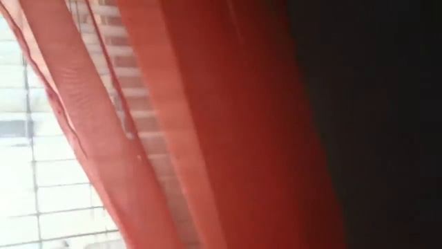 There's a wasp on my window смотреть онлайн
