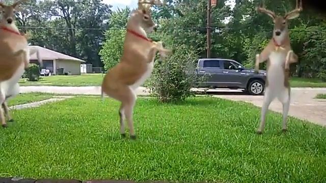 I looked out the window and look what I saw смотреть онлайн