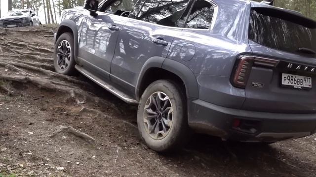 Haval Dargo и Dargo X - большая разница? Сравниваем два кроссовера на асфальте и бездорожье