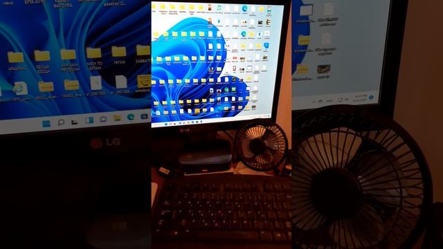 Windows 11 pro смотреть онлайн