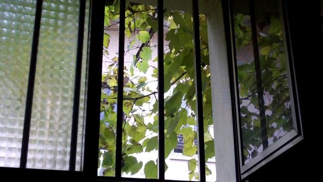 From my Office window 11.11.11 11:11AM смотреть онлайн