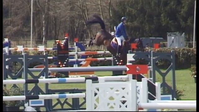 Nintara (Nintender x Cento) GP Final - 7 years - Lummen - 2013 - Jump-off смотреть онлайн