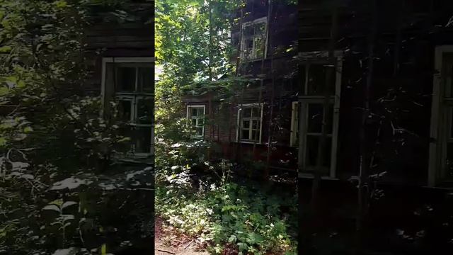 Эта дача стоит здесь с 1890 года - вилла «Айнола» в Зеленогорске #дача #петербург #travel смотреть онлайн