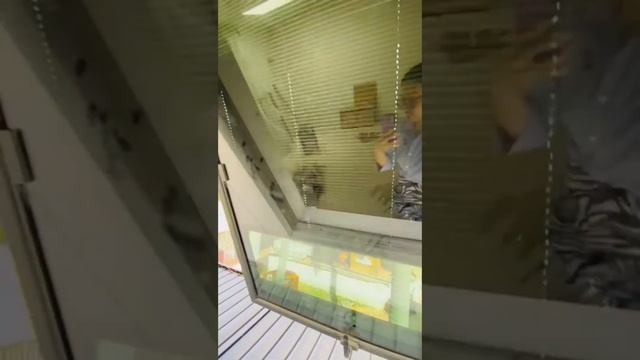 Unrivalled comfort: advanced window features. 👀😍 #interiordesign #homerennovation смотреть онлайн