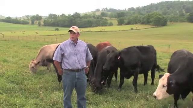 Foster Farm Web edition смотреть онлайн