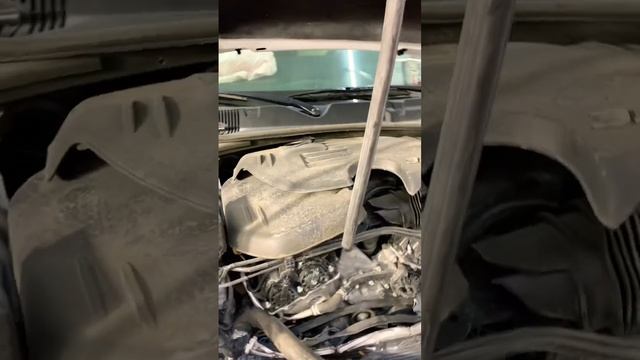 Bought Dodge Challenger #auktion #mopar #dodge #challenger #viral #short #repair #crash #buy #fyp смотреть онлайн