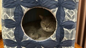 Шью домик для кошки