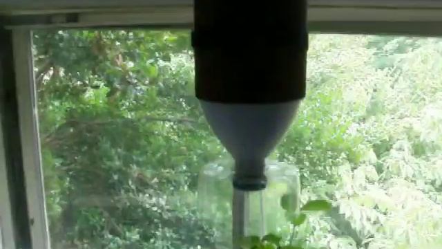 Children's Aquaponic Window Farm - 12 June 2010 Update смотреть онлайн