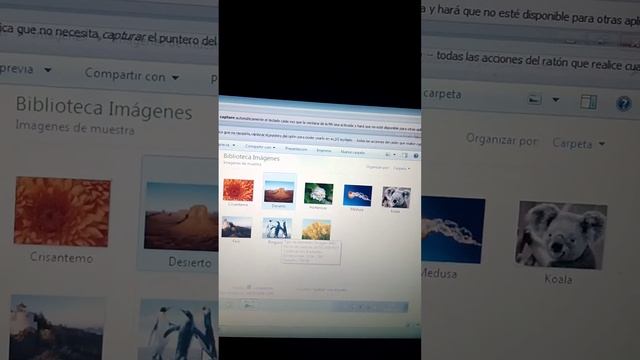 Máquina virtual, VirtualBox Sistema operativo Windows 7 32bits смотреть онлайн