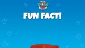 Rescue Knights Pups save Barkingburg Castle and More!🤩 | PAW Patrol | Cartoons for Kids