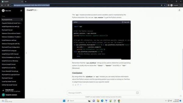 pip install os version