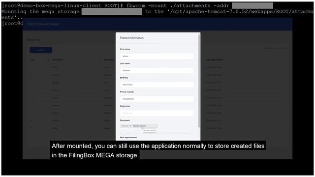 FilingBox MEGA File version Demo смотреть онлайн
