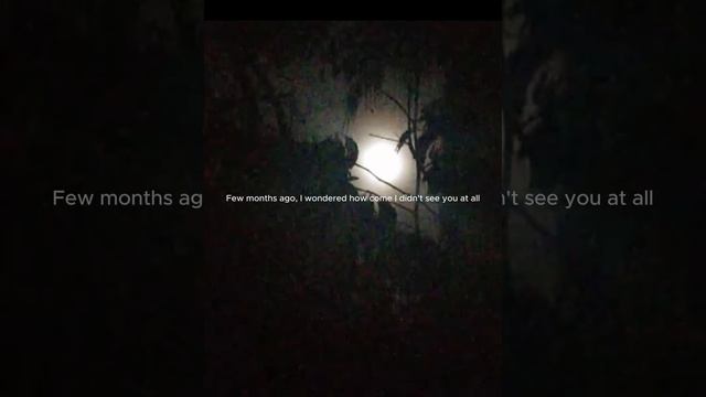 The Moon on my Window (Subhanallah) смотреть онлайн