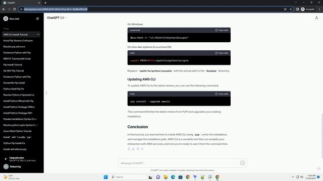 pip install awscli path смотреть онлайн