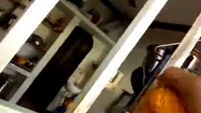 How to clean oil in kitchen windows|ஜன்னல் கம்பிகளில் உள்ள எண்ணெய் பிசுக்கை நீக்குவது எப்படி смотреть онлайн