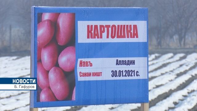 Президент посетил теплицы С. Урунходжаева смотреть онлайн