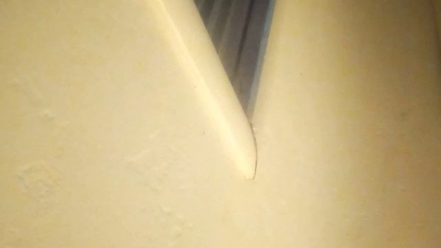 Steve admits windows broken by Caity and gang смотреть онлайн