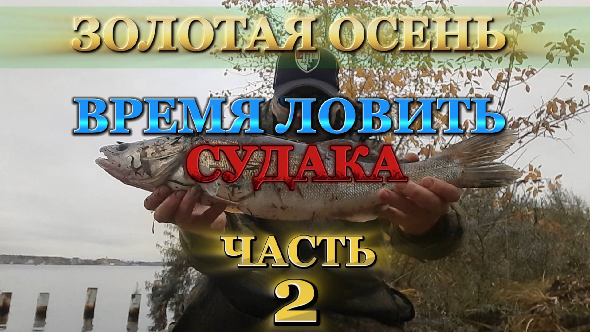 ЛОВЛЯ судака на ЗАКИДУШКУ (ДОНКУ с АМОРТИЗАТОРОМ). РЫБАЛКА на СУДАКА. Судак на живца. Судак осенью. смотреть онлайн