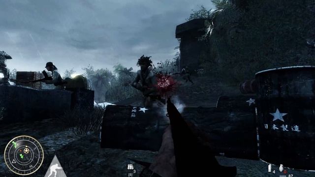 Call Of Duty:World At War 