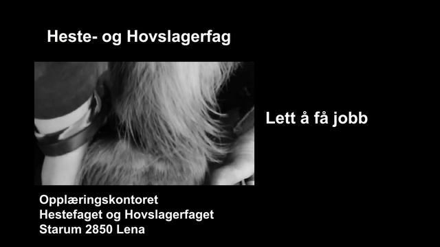 Hovslager смотреть онлайн