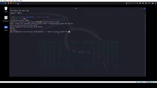 TryHackMe 0day смотреть онлайн