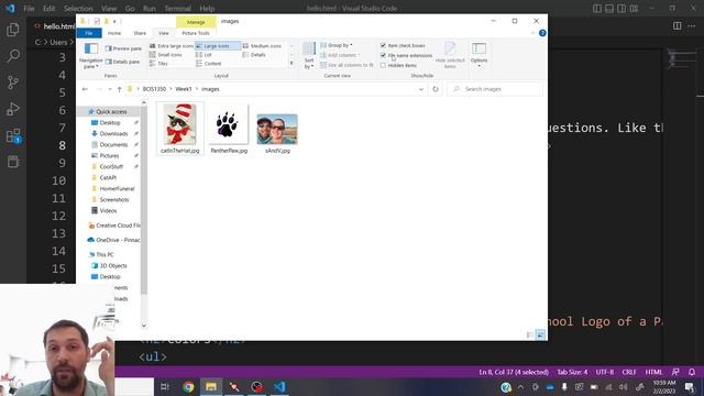 Windows Files and Folders смотреть онлайн