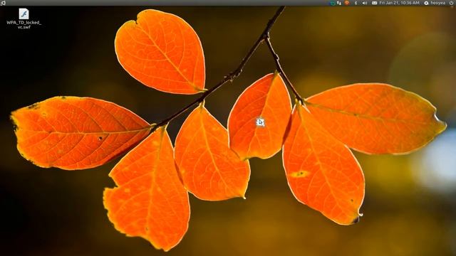 Remove Launchers from "Open With" Dialog - Ubuntu 10.10 смотреть онлайн