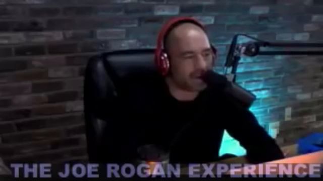 Joe Rogan Experience #333 David Lee Roth смотреть онлайн